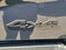 2026 RAM 2500 RAM 2500 BLACK EXPRESS CREW CAB 4X4 6'4' BOX