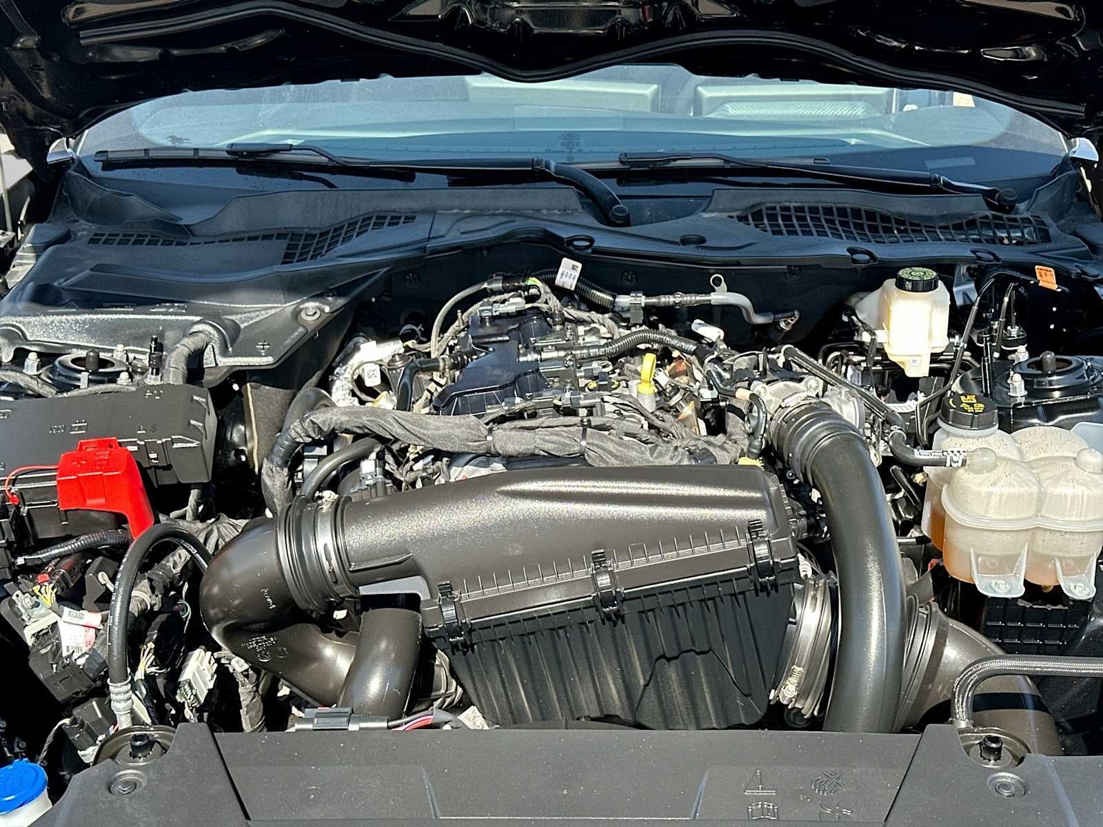 2024 Ford Mustang EcoBoost Fastback