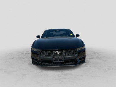 2024 Ford Mustang EcoBoost Fastback