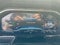 2025 Chevrolet Silverado 2500HD 4WD Crew Cab Standard Bed LT